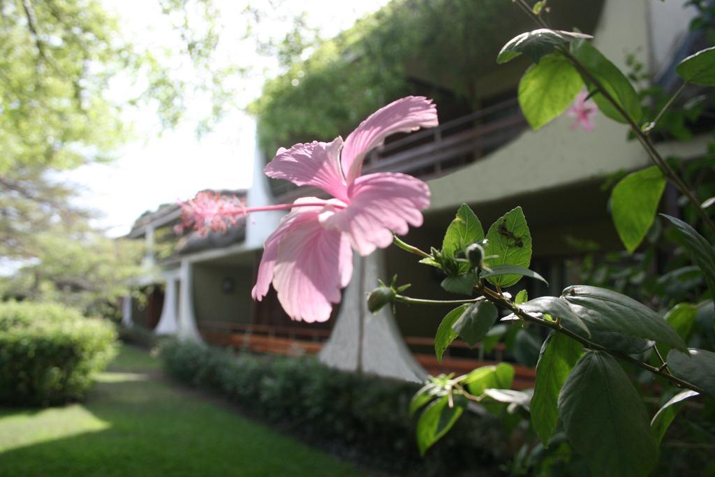 Hotel Club Du Lac Tanganyika Bużumbura Zewnętrze zdjęcie